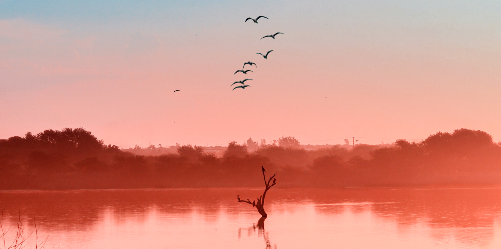 Burnout and wellness among healthcare providers